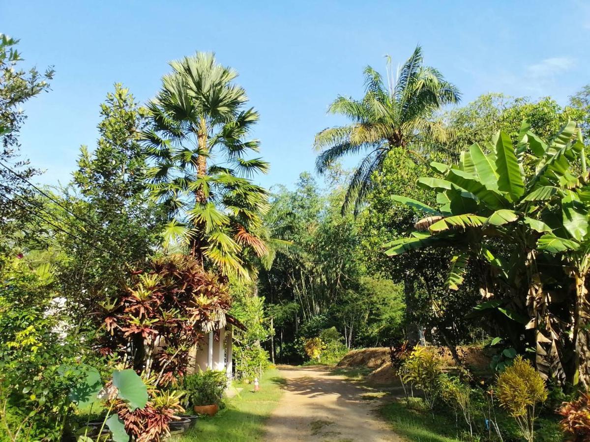 Suan Bang Bon Guest House Plai Phraya Exterior photo