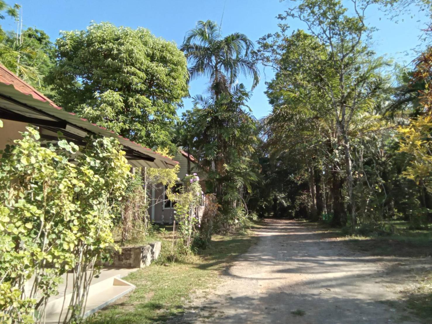 Suan Bang Bon Guest House Plai Phraya Exterior photo