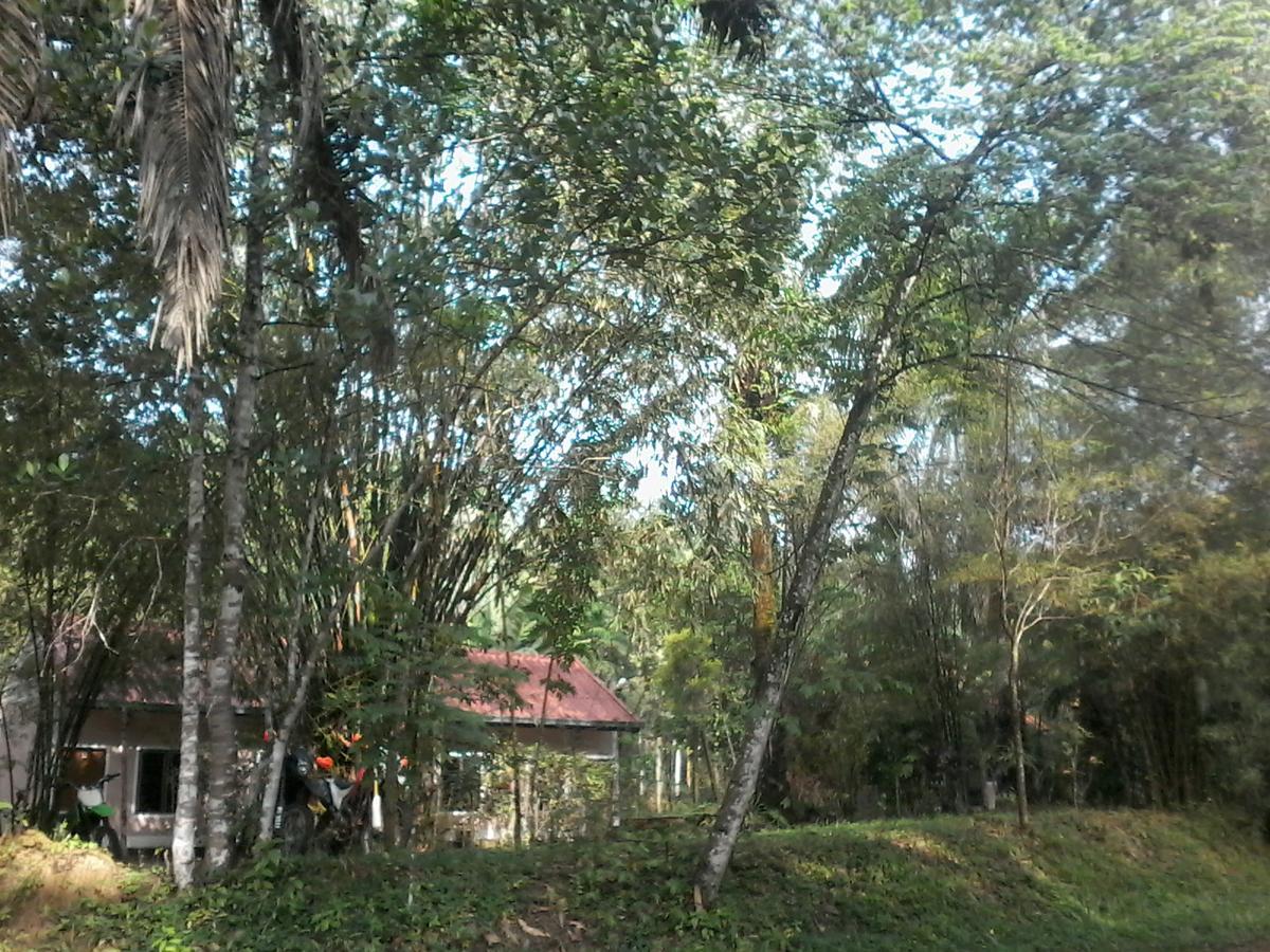 Suan Bang Bon Guest House Plai Phraya Exterior photo